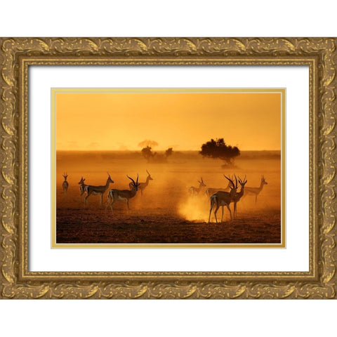 Sentinels Gold Ornate Wood Framed Art Print with Double Matting by Guillemot, Mathilde