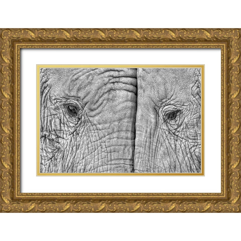 Two Elephants Gold Ornate Wood Framed Art Print with Double Matting by Luis Duran, Juan