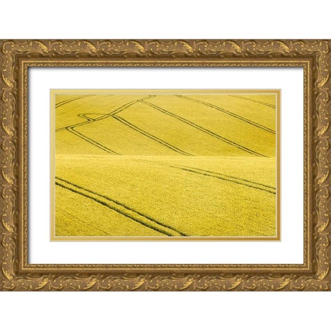 Field #2 Gold Ornate Wood Framed Art Print with Double Matting by Collie, Clive