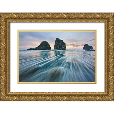 Wild West Coast Gold Ornate Wood Framed Art Print with Double Matting by Zhang, Yan