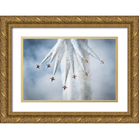 Black Eagles Gold Ornate Wood Framed Art Print with Double Matting by Walmsley, Peter