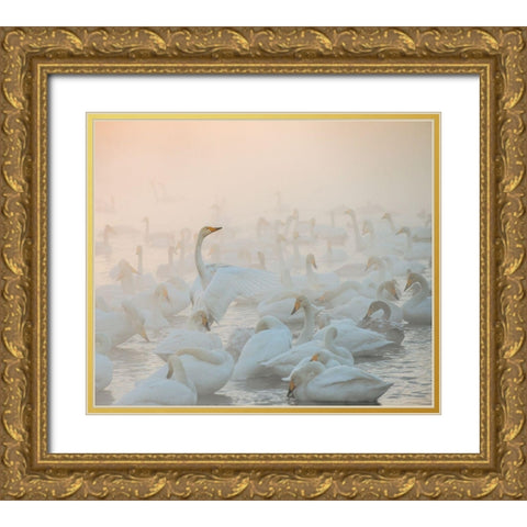 Song Of The Morning Light Gold Ornate Wood Framed Art Print with Double Matting by Dubikovskiy, Dmitry