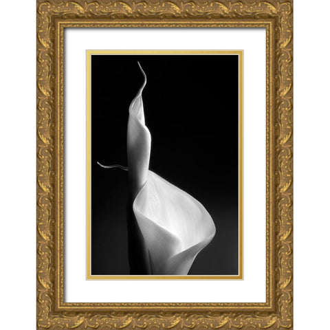 Female Curves Gold Ornate Wood Framed Art Print with Double Matting by Pascual Buye, Santiago
