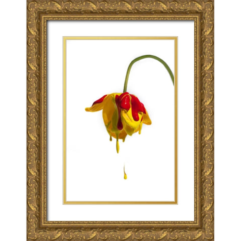 Crying Flower Gold Ornate Wood Framed Art Print with Double Matting by Mathiesen, Kent