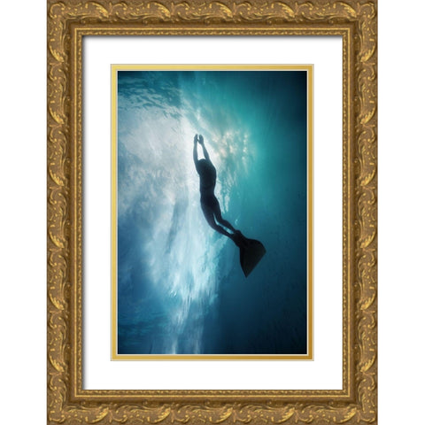 Sky Dive Gold Ornate Wood Framed Art Print with Double Matting by Narchuk, Andrey