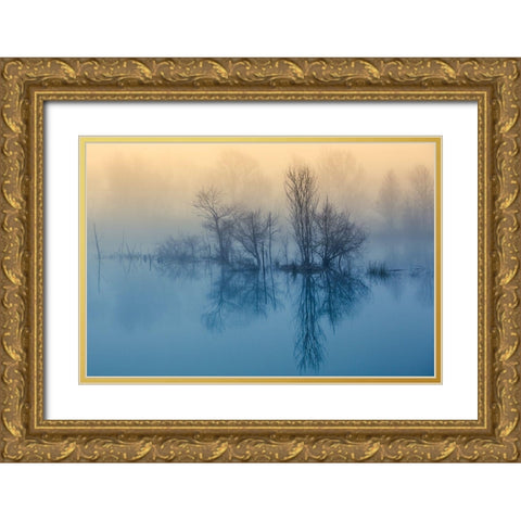 Morning Reflection Gold Ornate Wood Framed Art Print with Double Matting by Butali, David