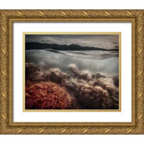 Underwater Evening Gold Ornate Wood Framed Art Print with Double Matting by Stranak, Pavol