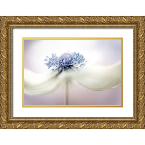 A N E M O N E Gold Ornate Wood Framed Art Print with Double Matting by Disher, Mandy
