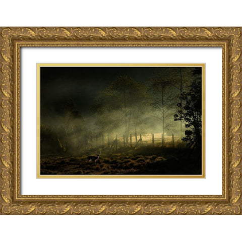 Misty Morning Gold Ornate Wood Framed Art Print with Double Matting by Rizani, Nunu