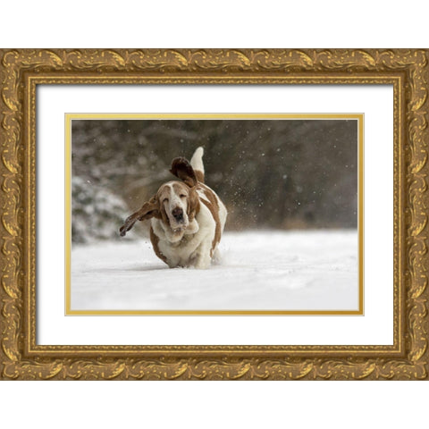 Almost Airborne Gold Ornate Wood Framed Art Print with Double Matting by Van Den, Gert
