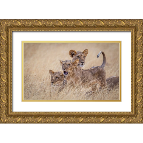 Boys At Play Gold Ornate Wood Framed Art Print with Double Matting by C. Sink, Jeffrey