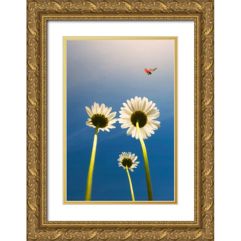 Ladybug Gold Ornate Wood Framed Art Print with Double Matting by C. Lobato, Jose