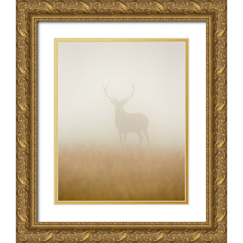 Ghost Stag Gold Ornate Wood Framed Art Print with Double Matting by Harling, Stuart