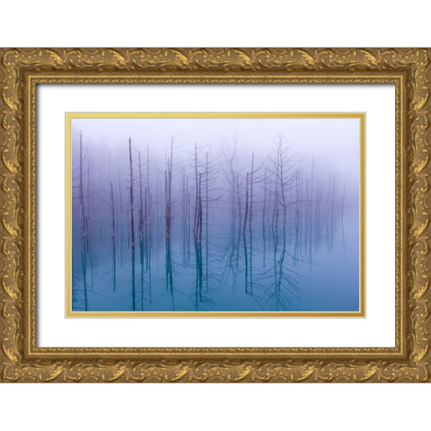 Misty Blue Pond Gold Ornate Wood Framed Art Print with Double Matting by Asami, Osamu