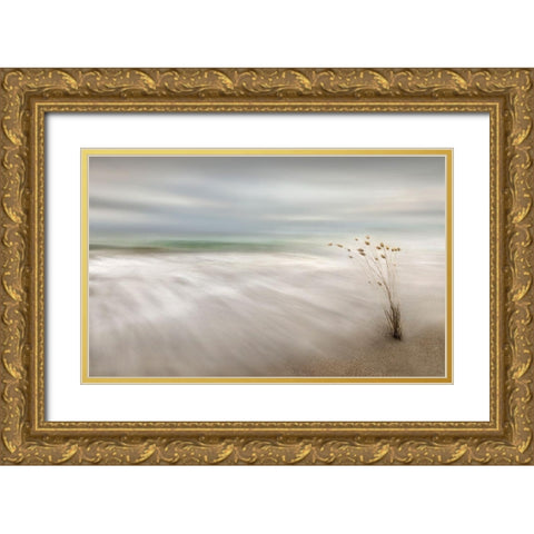Ears In The Sea Gold Ornate Wood Framed Art Print with Double Matting by Osuna, Fran