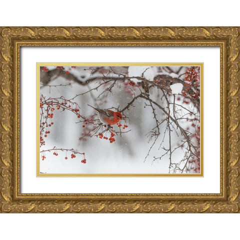 Nihonga Gold Ornate Wood Framed Art Print with Double Matting by ASAMI, OSAMU