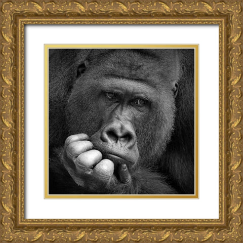 I Had A Dream Gold Ornate Wood Framed Art Print with Double Matting by Wenner-Braun, Antje