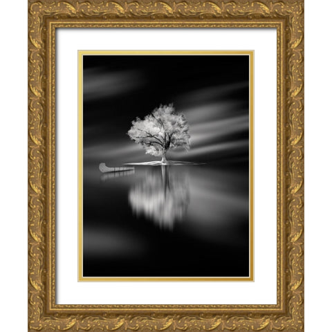 Quiet Gold Ornate Wood Framed Art Print with Double Matting by David Senechal Photographie