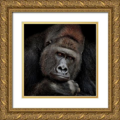 One Moment In Contact Gold Ornate Wood Framed Art Print with Double Matting by Wenner-Braun, Antje