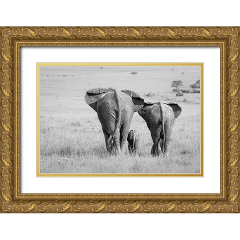Three Butts! Gold Ornate Wood Framed Art Print with Double Matting by Khataw, Ali