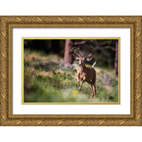 Happyyyyyyy... Gold Ornate Wood Framed Art Print with Double Matting by Verdon