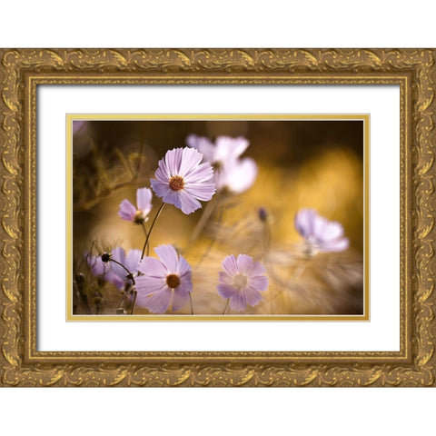 The Lion King Gold Ornate Wood Framed Art Print with Double Matting by Bravin, Fabien