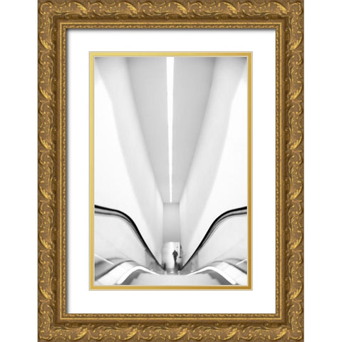 I Miss The Ground Gold Ornate Wood Framed Art Print with Double Matting by Abrantes, Paulo