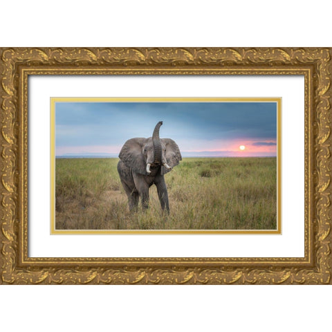 King Of The Domain Gold Ornate Wood Framed Art Print with Double Matting by C. Sink, Jeffrey
