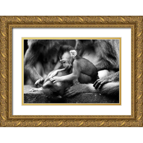 Untitled Gold Ornate Wood Framed Art Print with Double Matting by Lee, Marcus