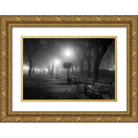Foggy Day Gold Ornate Wood Framed Art Print with Double Matting by Nikoloulis, Ilias