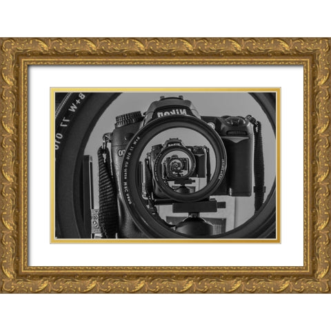 Twisted Lens Ii Gold Ornate Wood Framed Art Print with Double Matting by Skilbeck, Christian