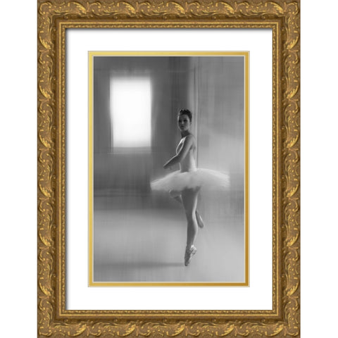 JohannaS Performance Gold Ornate Wood Framed Art Print with Double Matting by Schleicher-Schwarz, Roswitha