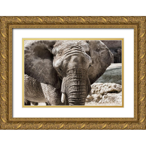 The Boss Gold Ornate Wood Framed Art Print with Double Matting by Araujo, Nuno