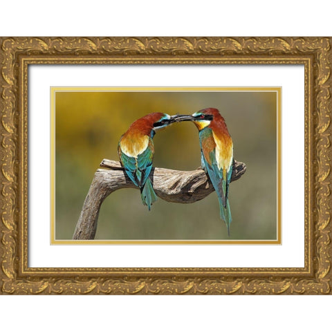 True Love Gold Ornate Wood Framed Art Print with Double Matting by Merino, Nicolas