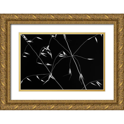 Crossed Lines Gold Ornate Wood Framed Art Print with Double Matting by Azevedo, Olavo