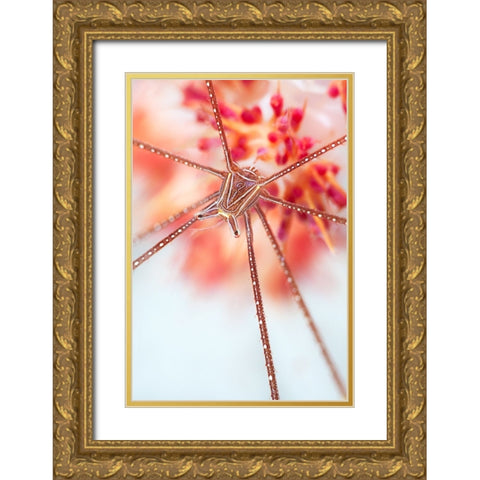 Snow Flower Gold Ornate Wood Framed Art Print with Double Matting by Narchuk, Andrey