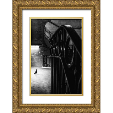 Big Bird In A Small Cage Gold Ornate Wood Framed Art Print with Double Matting by Mexia, Laura
