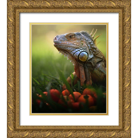 Tomatoes Time Gold Ornate Wood Framed Art Print with Double Matting by Bhs, Fahmi