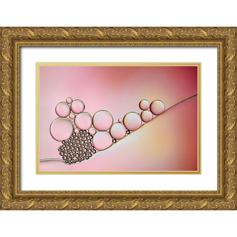 Pearlescent Pastel Gold Ornate Wood Framed Art Print with Double Matting by Westum, Heidi