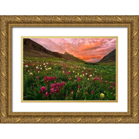 Carpet Of Wildflowers Gold Ornate Wood Framed Art Print with Double Matting by Xu, Mei