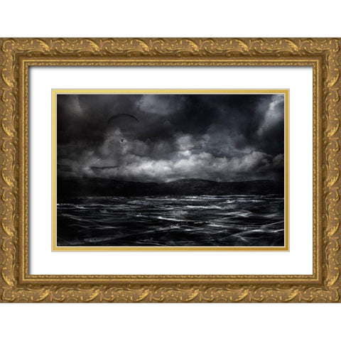 Free As A Bird Gold Ornate Wood Framed Art Print with Double Matting by Marthinussen, Willy