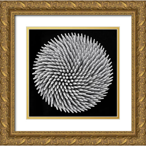 Hypnosis Gold Ornate Wood Framed Art Print with Double Matting by Toniolo, Giorgio