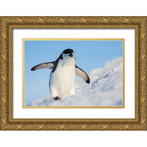 Running Up That Hill Gold Ornate Wood Framed Art Print with Double Matting by Breuker, Hillebrand