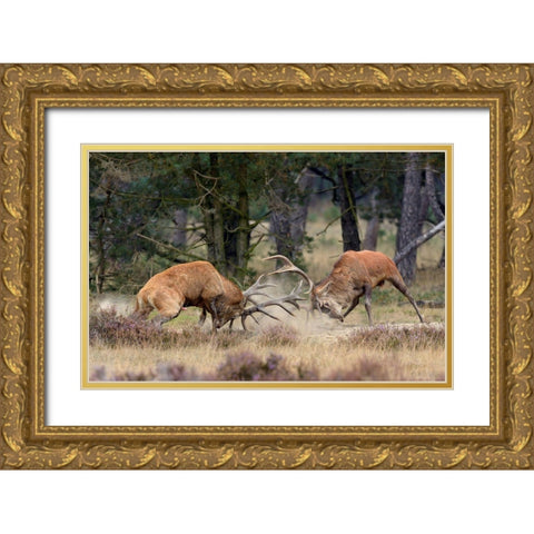 Clash Of The Titans Gold Ornate Wood Framed Art Print with Double Matting by Janssens, Roelof