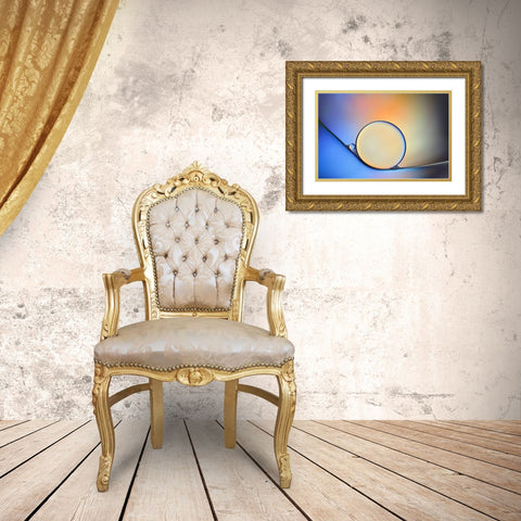 Oil And Water In Harmony Gold Ornate Wood Framed Art Print with Double Matting by Westum, Heidi