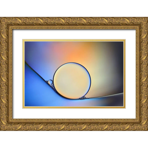 Oil And Water In Harmony Gold Ornate Wood Framed Art Print with Double Matting by Westum, Heidi