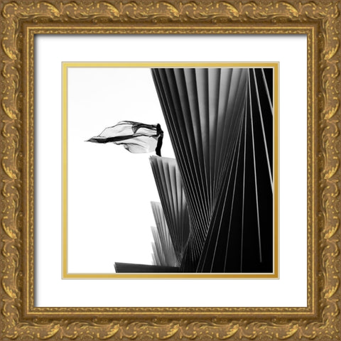 On The Edge Gold Ornate Wood Framed Art Print with Double Matting by Odorizzi, Patrick