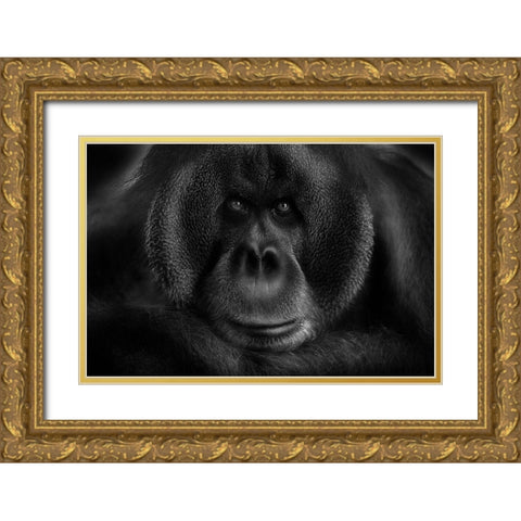 Maurice Gold Ornate Wood Framed Art Print with Double Matting by Wildkay