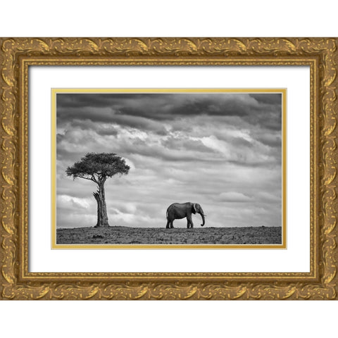 Elephant Landscape Gold Ornate Wood Framed Art Print with Double Matting by Moreno, Mario