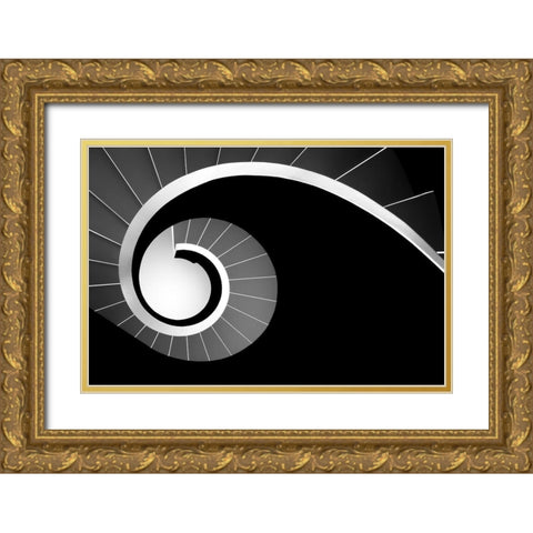Big Jet Plane Gold Ornate Wood Framed Art Print with Double Matting by Abrantes, Paulo